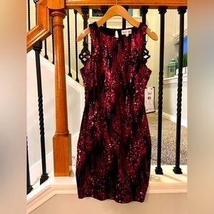 NWT Merlot Velvet & Sequin Dress - S